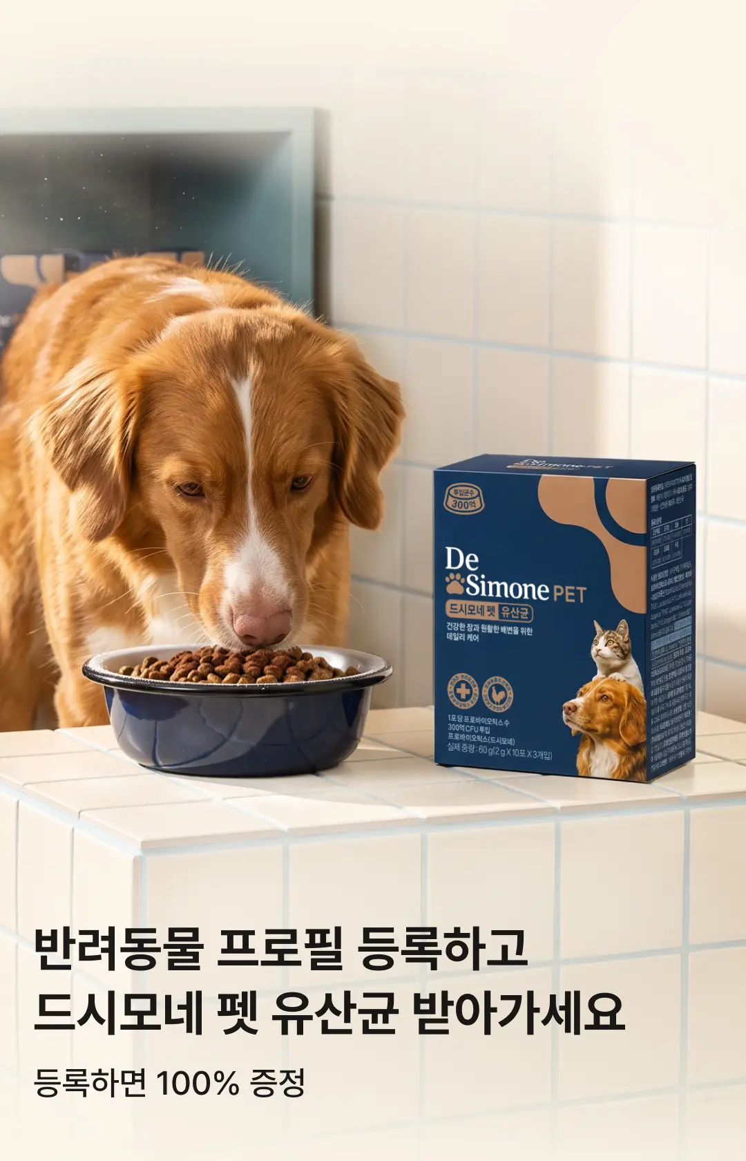 2508_펫프로필 등록 이벤트